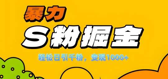 单人单机日引千粉，变现1k+，S粉流量掘金计划攻略【揭秘】-宇文网创