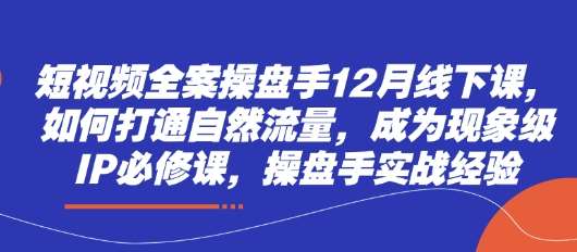 短视频全案操盘手12月线下课，如何打通自然流量，成为现象级IP必修课，操盘手实战经验-宇文网创