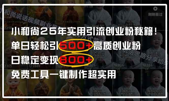 （14436期）小和尚2025年实用引流秘籍！单日轻松引500+高质量创业粉，日变现800+，…-宇文网创