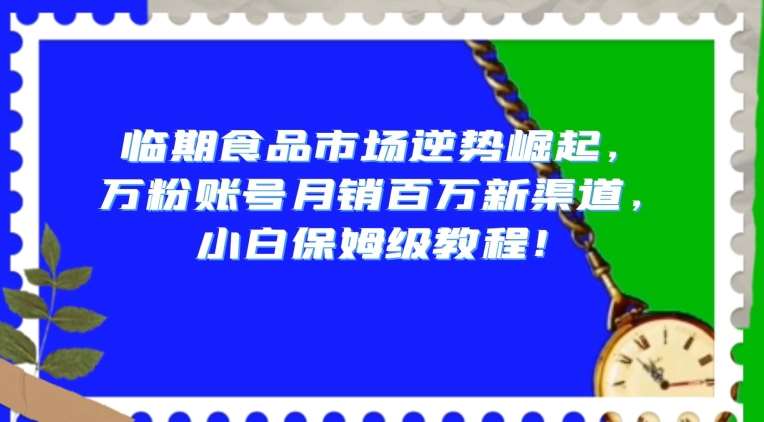 临期食品市场逆势崛起，万粉账号月销百万新渠道，小白保姆级教程【揭秘】-宇文网创