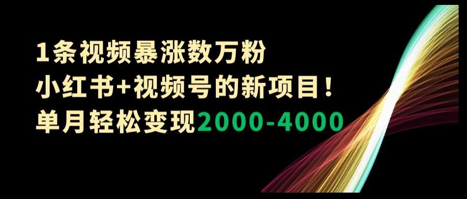 1条视频暴涨数万粉–小红书+视频号的新项目！单月轻松变现2000-4000【揭秘】-宇文网创
