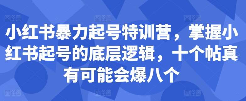 小红书暴力起号特训营，掌握小红书起号的底层逻辑，十个帖真有可能会爆八个-宇文网创
