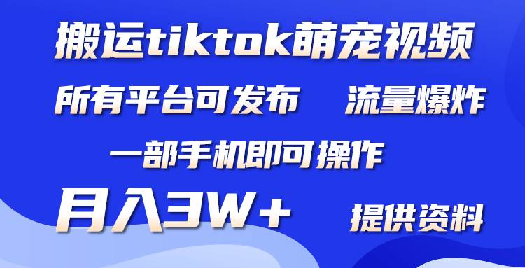 （9618期）搬运Tiktok萌宠类视频，一部手机即可。所有短视频平台均可操作，月入3W+-宇文网创