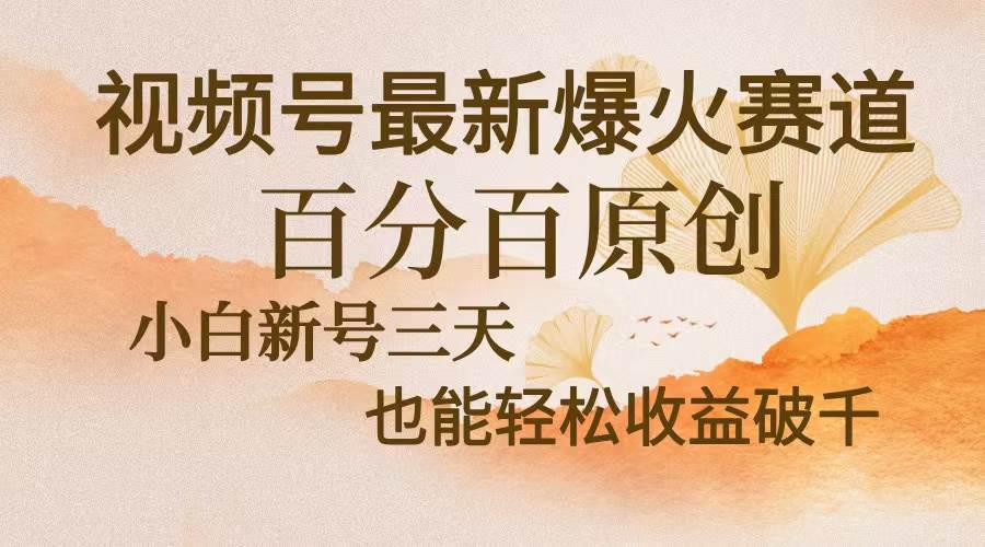 （13225期）视频号最新爆火赛道，中老年粉深信不疑，百分百原创，新号三天收益轻松...-宇文网创