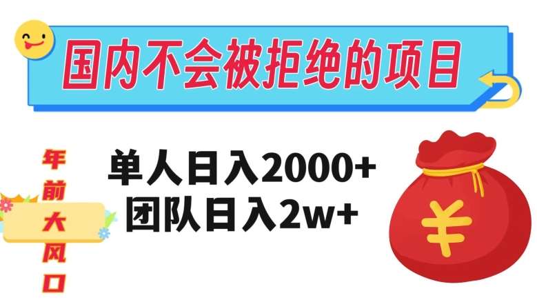 在国内不怕被拒绝的项目，单人日入2000，团队日入20000+【揭秘】-宇文网创
