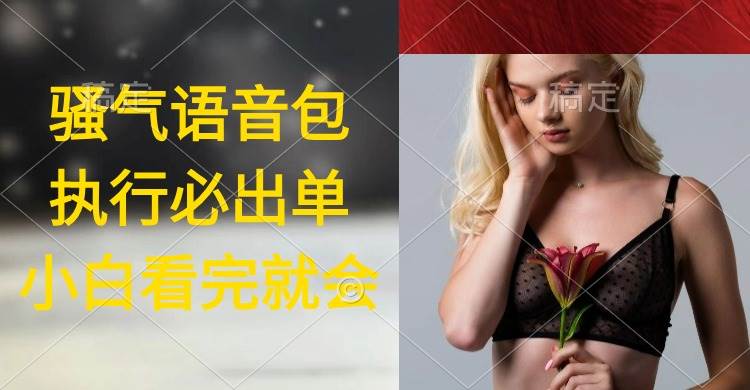 （9589期）执行就出单，日入2000+，超火骚气语音包，小白看完课程就能马上实操-宇文网创