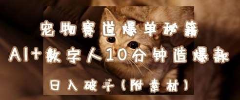 宠物赛道爆单秘籍：AI+数字人10分钟造爆款，日入1k-宇文网创