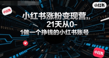 小红书涨粉变现营，21天从0-1做一个挣钱的小红书账号-宇文网创
