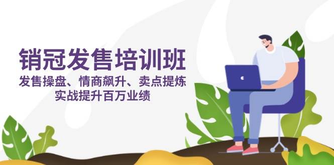 （14203期）销冠 发售培训班：发售 操盘+情商 飙升+卖点 提炼，实战提升百万业绩-宇文网创