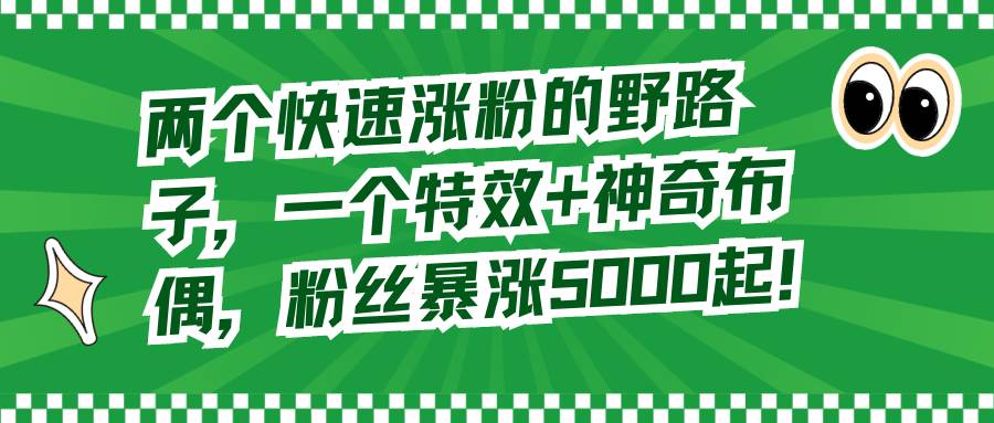（8606期）两个快速涨粉的野路子，一个特效+神奇布偶，粉丝暴涨5000起！-宇文网创