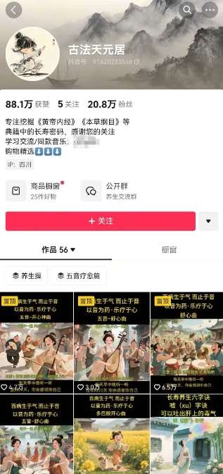 图片[2]-古法五音养生教程，五音疗愈的视频的制作方法，2-4小时就能学会，作者10天涨粉10W-宇文网创