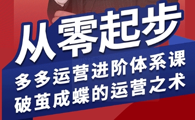 拼多多运营进阶系统课，从零起步，多多运营进阶体系课，破茧成蝶的运营之术-宇文网创