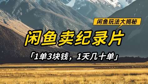 闲鱼卖纪录片1单3块钱，1天几十单，项目稳定有潜力-宇文网创