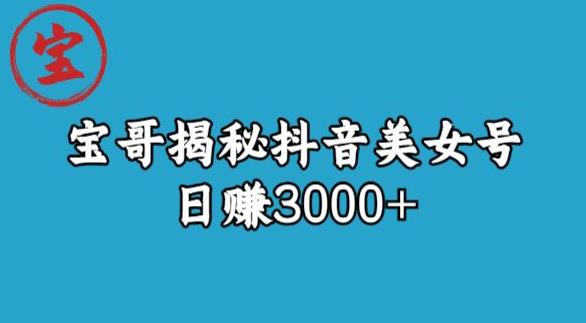 宝哥揭秘抖音美女号玩法，日赚3000+【揭秘】-宇文网创