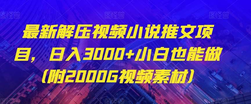 最新解压视频小说推文项目，日入3000+小白也能做（附2000G视频素材）【揭秘】-宇文网创