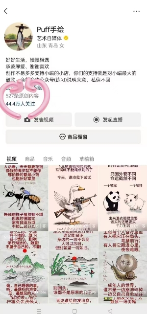 图片[2]-Puff手绘视频号分成项目，三天过分成计划，简单易上手，适合新手-宇文网创