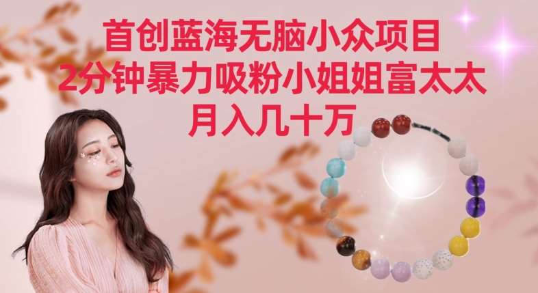 首创蓝海无脑小众项目，2分钟暴力吸粉小姐姐富太太，月入几十万【揭秘】-宇文网创