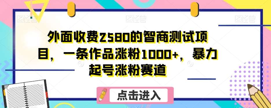 外面收费2580的智商测试项目，一条作品涨粉1000+，暴力起号涨粉赛道【揭秘】-宇文网创