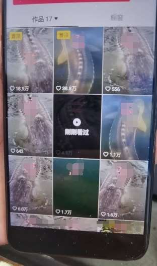 图片[2]-外面卖399的国学佛像原创暴力起号技术，快速起号，7天可达到一个万粉号-宇文网创