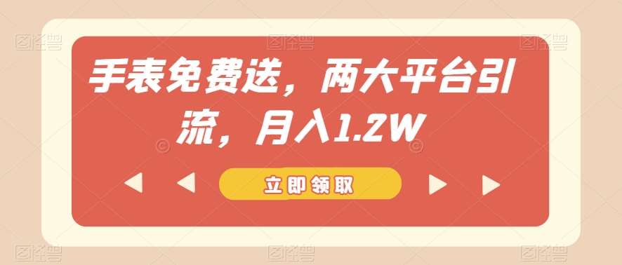 手表免费送，两大平台引流，月入1.2W【揭秘】-宇文网创