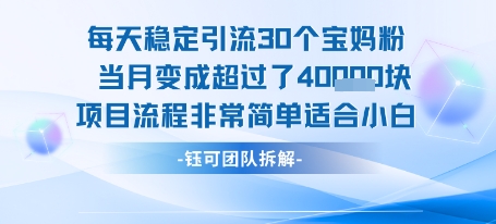 每天稳定引流30个人 当月变成超过了4个W项目流程非常简单适合小白-宇文网创