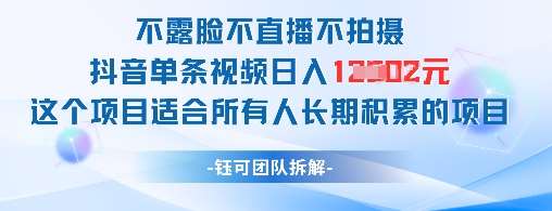 不露脸不直播不拍摄抖音单条视频日入1k+这个项目适合所有人长期积累的项目-宇文网创