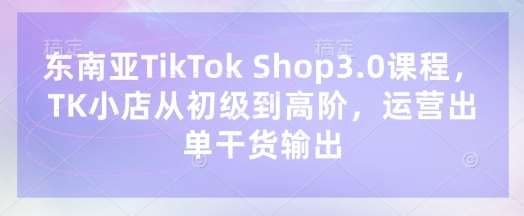 东南亚TikTok Shop3.0课程，TK小店​从初级到高阶，运营出单干货输出-宇文网创
