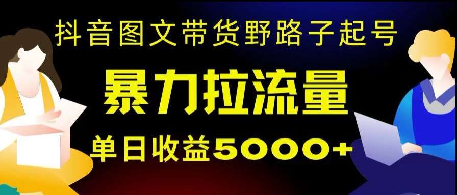 抖音图文带货暴力起号，单日收益5000+，野路子玩法，简单易上手，一部手机即可【揭秘】-宇文网创