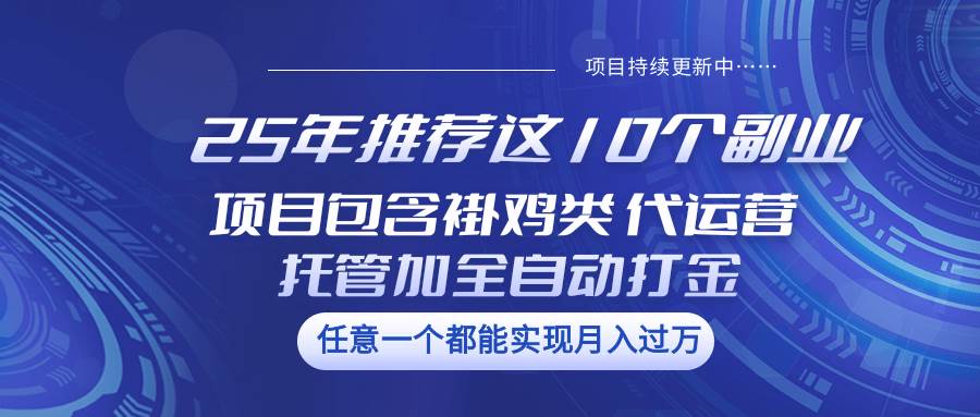 25年推荐这10个副业 项目包含褂鸡类、代运营托管类、全自动打金类-宇文网创