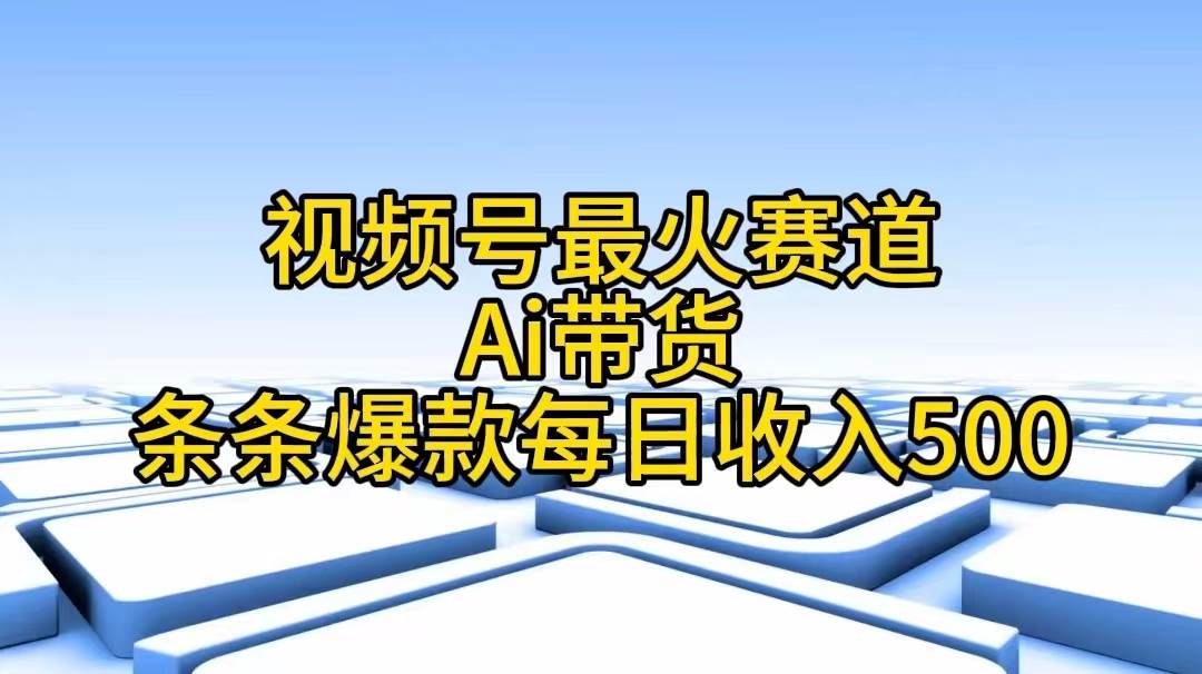 （11038期）视频号最火赛道——Ai带货条条爆款每日收入500-宇文网创