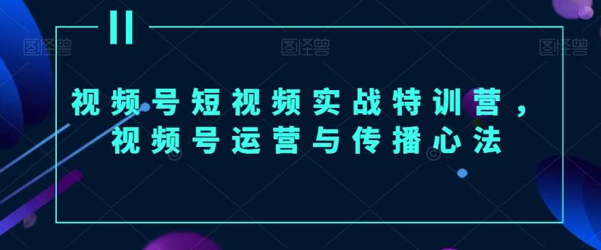 视频号短视频实战特训营，视频号运营与传播心法-宇文网创