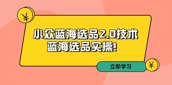 （9189期）拼多多培训第33期：小众蓝海选品2.0技术-蓝海选品实操！-宇文网创