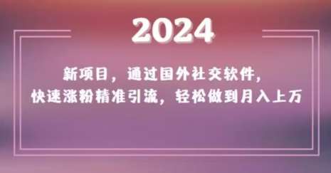 2024新项目，通过国外社交软件，快速涨粉精准引流，轻松做到月入上万【揭秘】-宇文网创