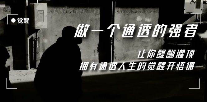 （7696期）觉醒-做一个通透强者，让你醍醐灌顶，拥有通透人生，掌握强大的秘密-宇文网创