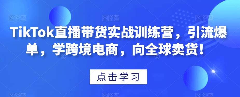 TikTok直播带货实战训练营，引流爆单，学跨境电商，向全球卖货！-宇文网创