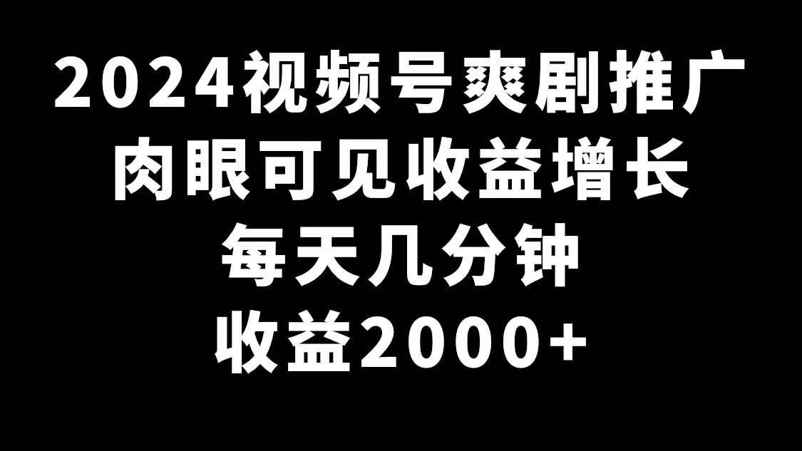 （9028期）2024视频号爽剧推广，肉眼可见的收益增长，每天几分钟收益2000+-宇文网创