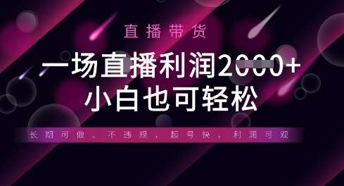 半无人直播带货，一场利润数张，适合所有平台玩法，小白也可轻松-宇文网创
