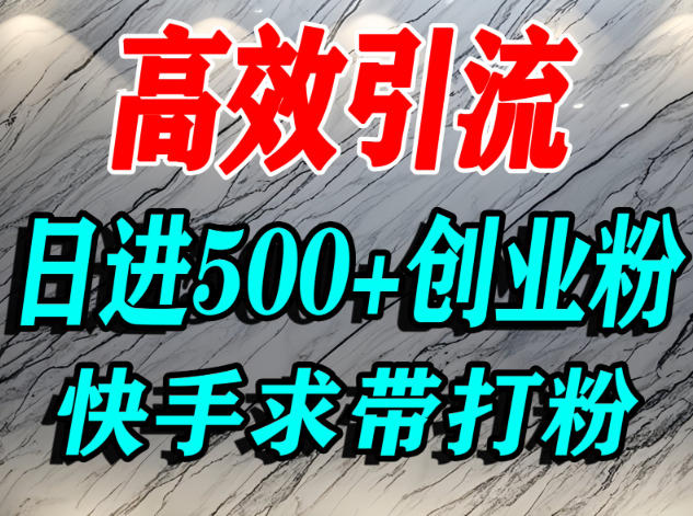 怎么打创业粉？快手求带视角精准引流创业粉，宝妈、学生群体日进500+精准流量-宇文网创