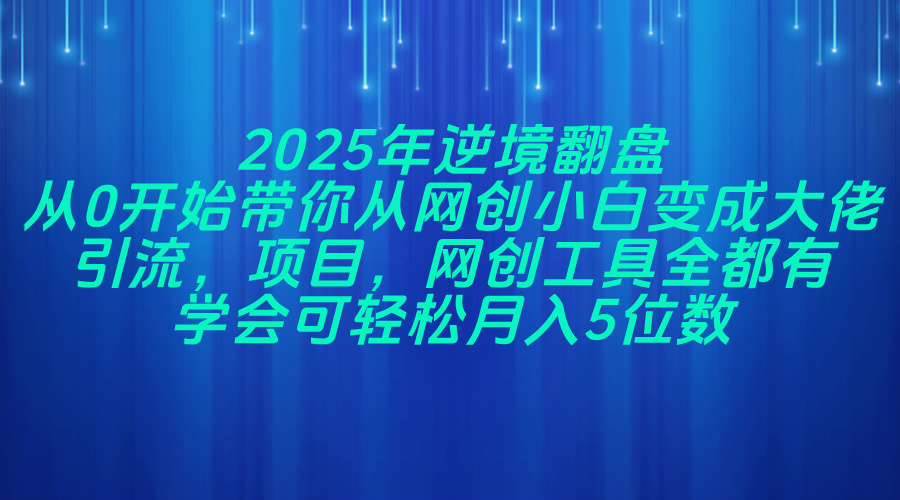 （14473期）2025年逆境翻盘，从0开始带你从网创小白变成大佬，引流，项目，网创工...-宇文网创