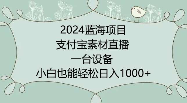 2024年蓝海项目，支付宝素材直播，无需出境，小白也能日入1000+ ，实操教程【揭秘】-宇文网创