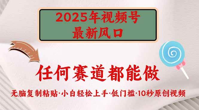 （14453期）2025年视频号新风口，低门槛只需要无脑执行-宇文网创