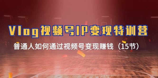 （11654期）Vlog 视频号IP变现特训营，普通人如何通过视频号变现赚钱（15节）-宇文网创