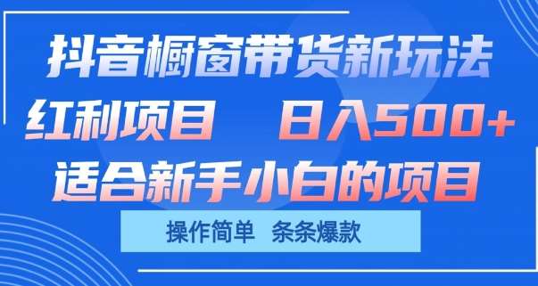 抖音橱窗带货新玩法，单日收益几张，操作简单，条条爆款【揭秘】-宇文网创