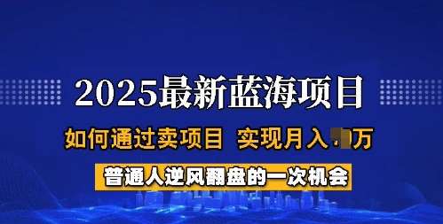 2025蓝海项目，普通人如何通过卖项目，实现月入过W，全过程【揭秘】-宇文网创