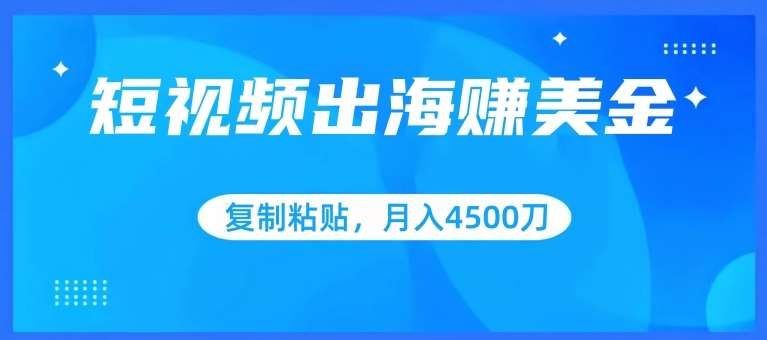 短视频出海赚美金，复制粘贴批量操作，小白轻松掌握，月入4500美刀【揭秘】-宇文网创