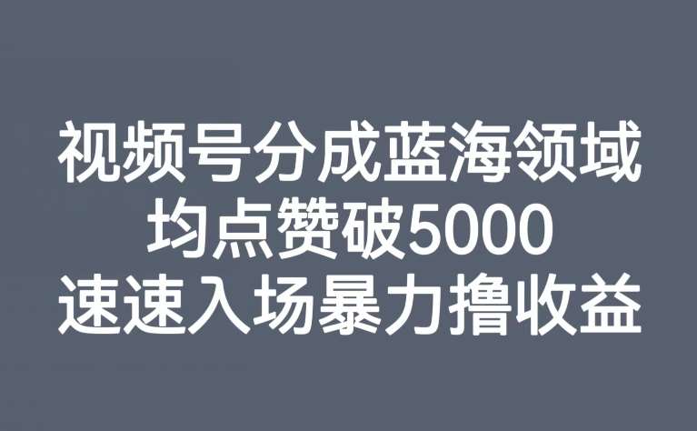 视频号分成蓝海领域，均点赞破5000，速速入场暴力撸收益-宇文网创