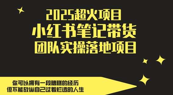 2025超火项目，副业最佳选择，小红书笔记带货团队实操落地项目，，轻松日入5张-宇文网创