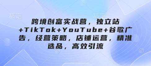 跨境创富实战营，独立站+TikTok+YouTube+谷歌广告，经营策略，店铺运营，精准选品，高效引流-宇文网创