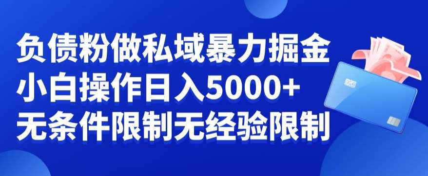 负债粉私域暴力掘金，小白操作入5000，无经验限制，无条件限制【揭秘】-宇文网创