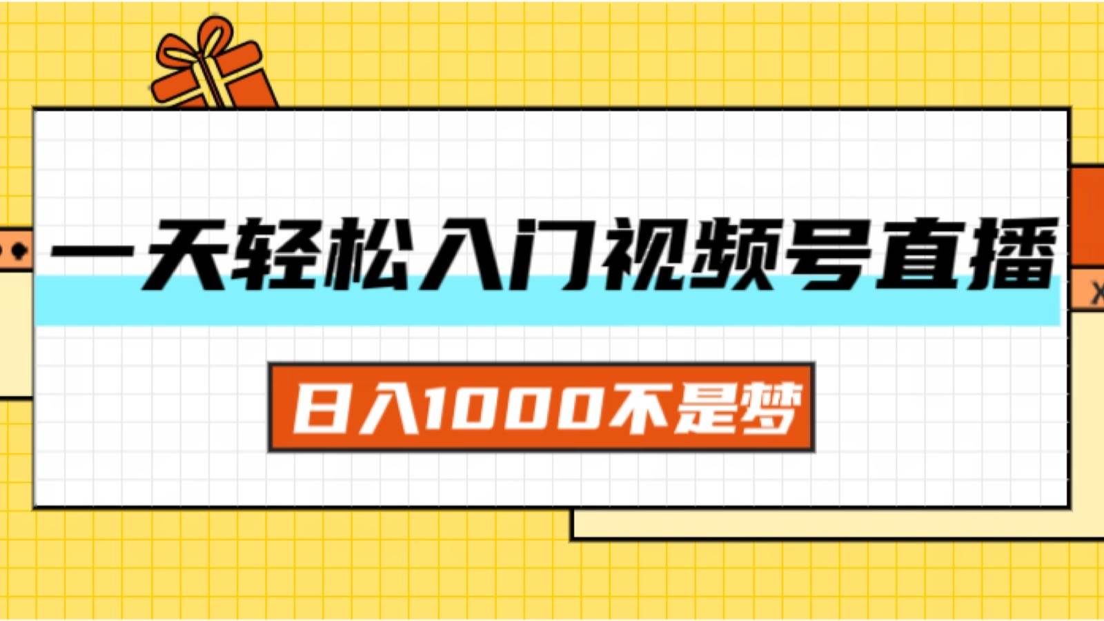 （11906期）一天入门视频号直播带货，日入1000不是梦-宇文网创